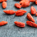 Buah goji berry buah wolfberry organik dengan nutrisi